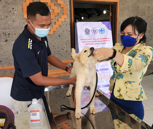 Veterinary Teaching Hospitas Faculty Of Veterinary Medicine Udayana University As A Dog Health Team In Bali Dog Show 2022